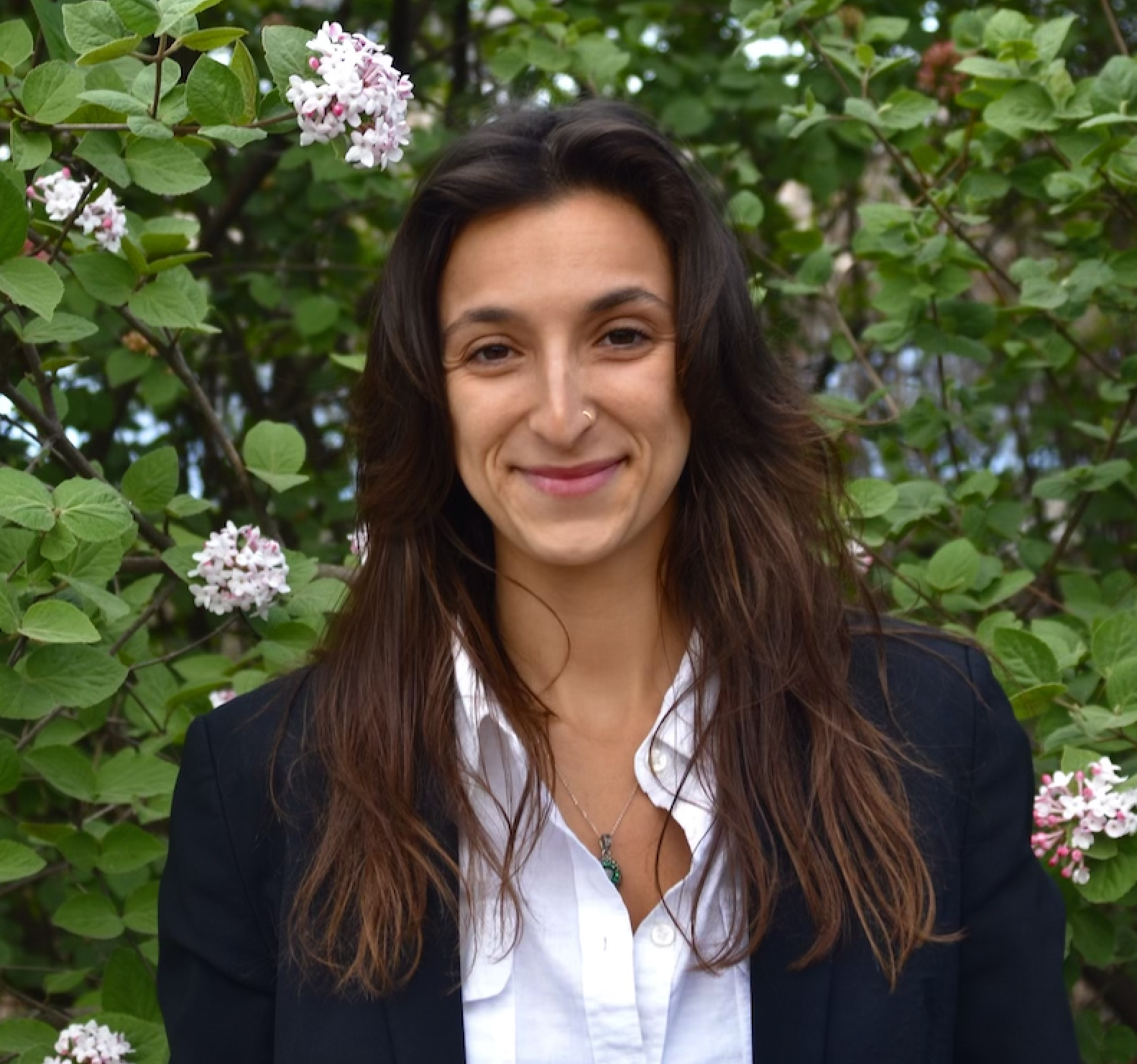 Pictured: Sam Bolourtchi